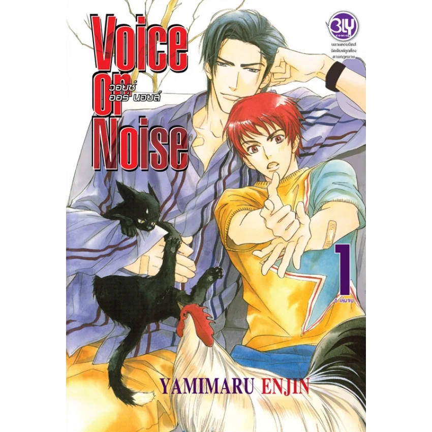 Voice or Noise